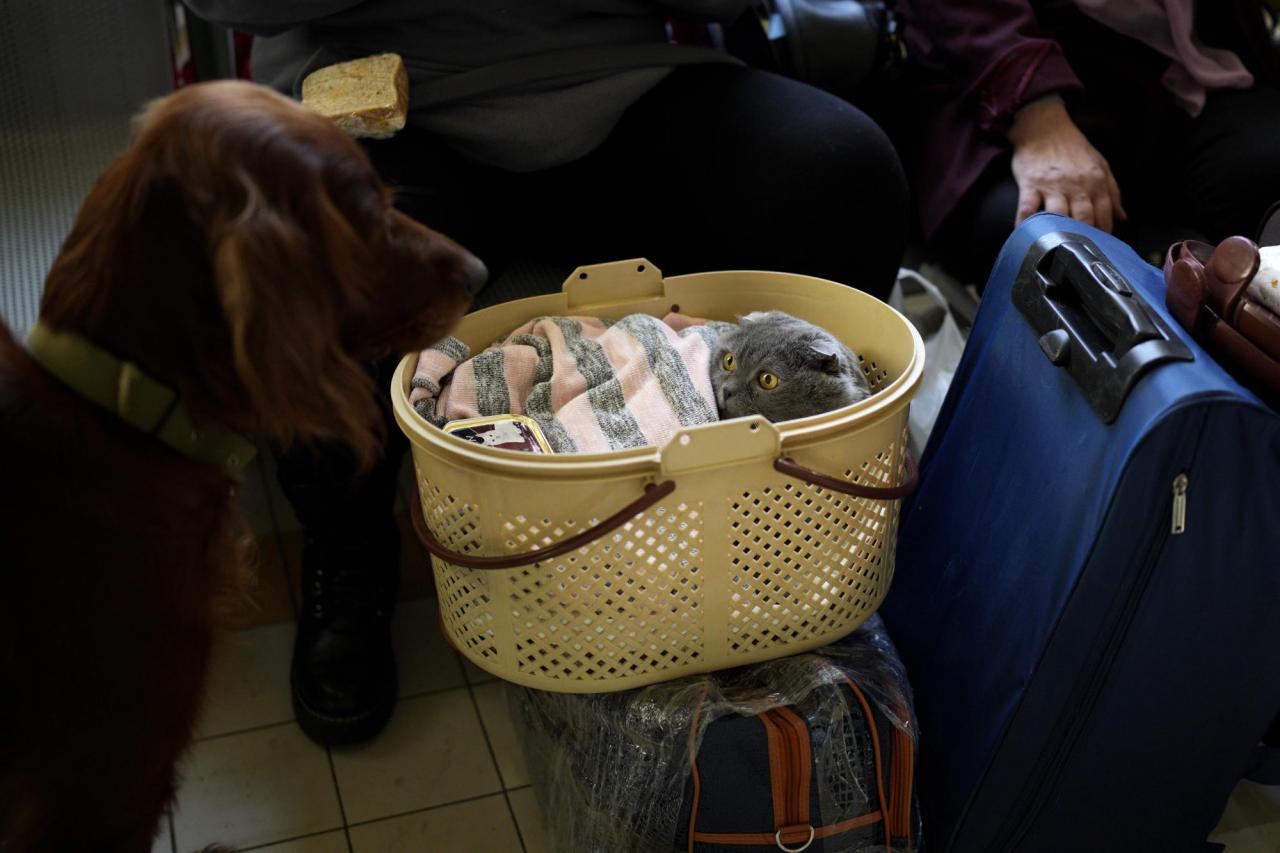 Refugees that fled the war in Ukraine, with their pets and belongings wait at the Przemysl train station, southeastern Poland, on Saturday, March 12, 2022. (AP Photo/Daniel Cole)