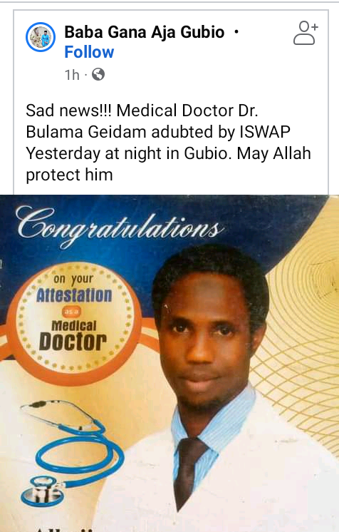 ISWAP abducts medical doctor in Borno 