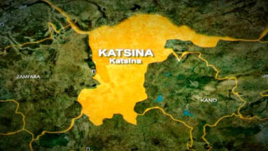 Kidnappers fined us N1m for late payment of ransom ? Freed Katsina couple