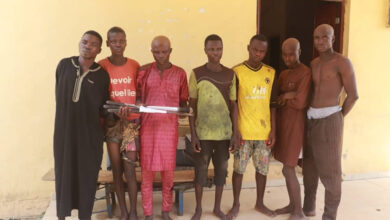 Seven arrested for alleged thuggery in Minna