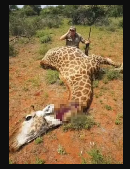 Wildlife trophy hunter, Riaan Naude gunned down in 