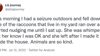 Lady narrates how an animal saved her after she had a seizure and fell down