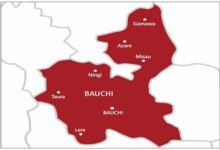 69 abducted victims rescued from Bauchi bandits? den