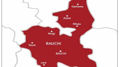 69 abducted victims rescued from Bauchi bandits? den