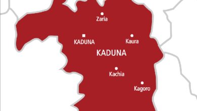 Bandits abduct woman on sick bed in Zaria