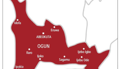 DSS arrest Boko Haram leader in Ogun