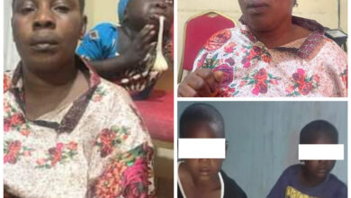 I was paid N500,000 for the mission - Woman arrested for abducting three children in Borno says