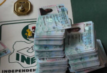 Many PVC registrants who could not complete their registration are diasporans - INEC