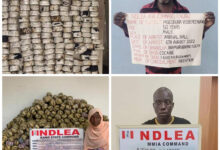 NDLEA uncovers 442 parcels of Crystal Meth in heads of smoked fish in Lagos as returnee excretes 77 wraps of cocaine at Enugu airport