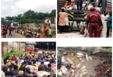 Ondo Amotekun intercepts two trucks conveying 151 suspected invaders who hid behind bags of rice, recovers dangerous charms (video)