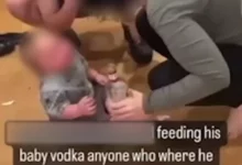 Parents arrested on suspicion of child cruelty after they were cut giving their baby a shot of vodka