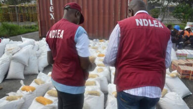 Quit illicit trade now or lose it all - NDLEA tells drug barons