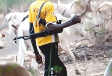 Suspected killer herdsmen lure cow buyers into forest and murder one