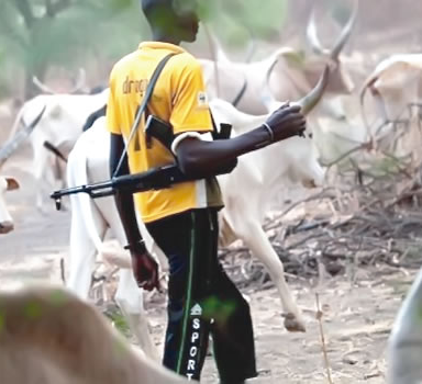 Suspected killer herdsmen lure cow buyers into forest and murder one