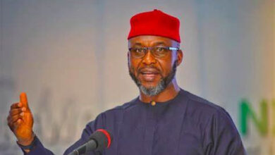 You have no history of core intelligence practice, competence and experience - DSS slams Osita Chidoka on security flops in the country
